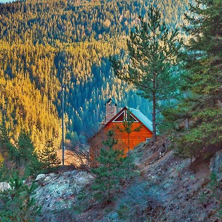 Cozy Cottage Feel Free Continental Didi Ateni Luaran gambar