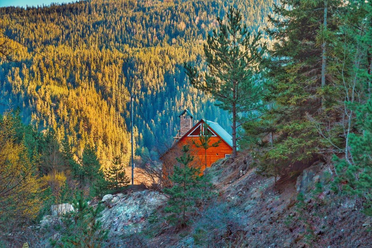 Cozy Cottage Feel Free Continental Didi Ateni Luaran gambar
