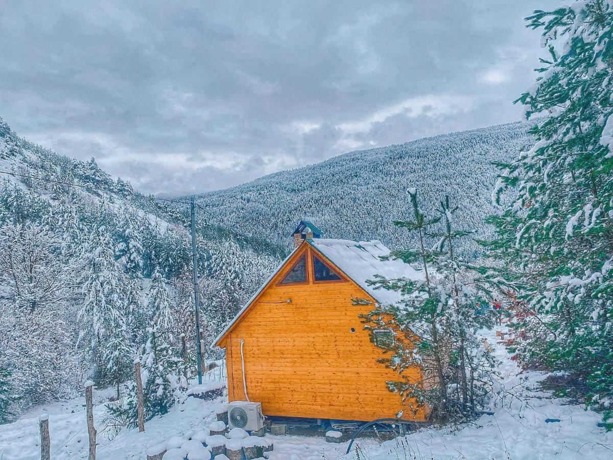 Cozy Cottage Feel Free Continental Didi Ateni Luaran gambar