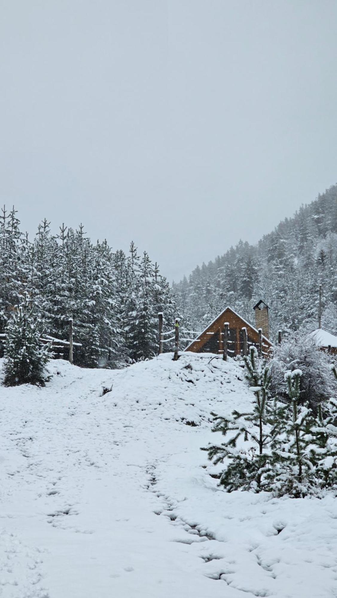 Cozy Cottage Feel Free Continental Didi Ateni Luaran gambar